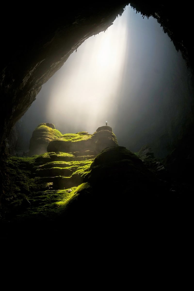 Enchanted Realm